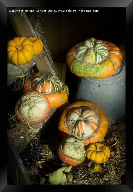 A Ladder of Pumpkins Framed Print by Ann Garrett