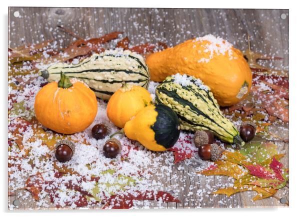 Seasonal autumn gourds plus leaves and acorn decor Acrylic by Thomas Baker