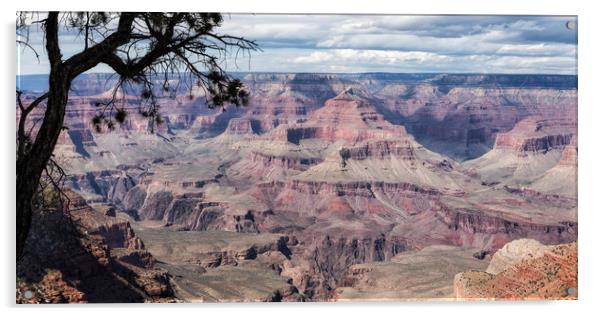 Grand Canyon No. 5 Pano Acrylic by Belinda Greb