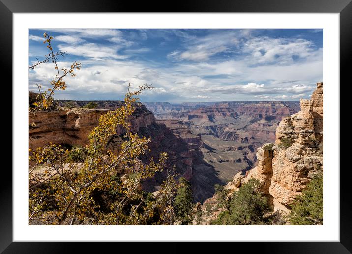 Grand Canyon No. 7  Framed Mounted Print by Belinda Greb