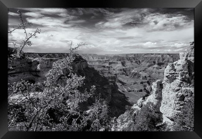 Grand Canyon No. 7 bw Framed Print by Belinda Greb