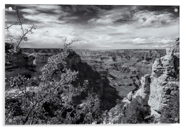 Grand Canyon No. 7 bw Acrylic by Belinda Greb