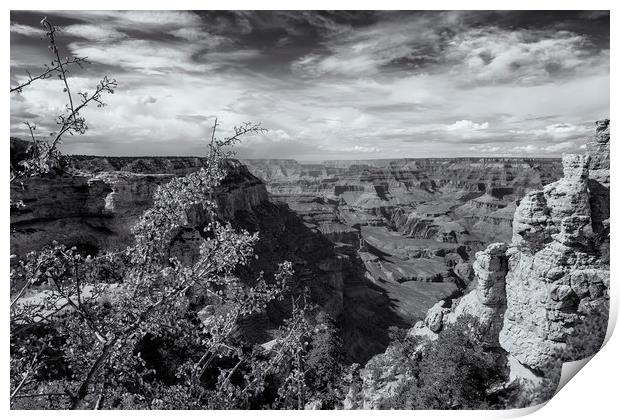 Grand Canyon No. 7 bw Print by Belinda Greb