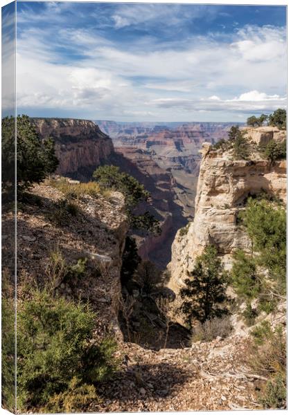 A Vertical View - Grand Canyon Canvas Print by Belinda Greb
