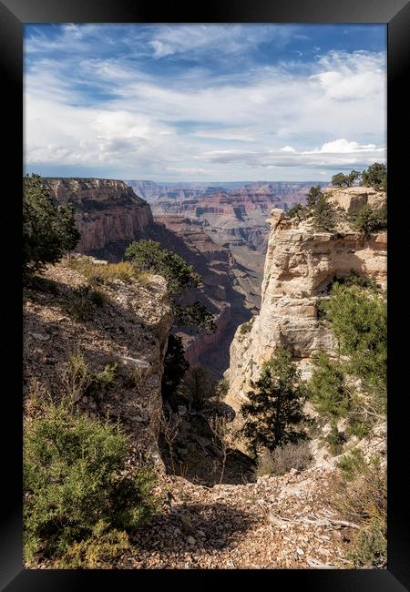 A Vertical View - Grand Canyon Framed Print by Belinda Greb