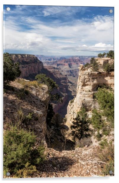 A Vertical View - Grand Canyon Acrylic by Belinda Greb