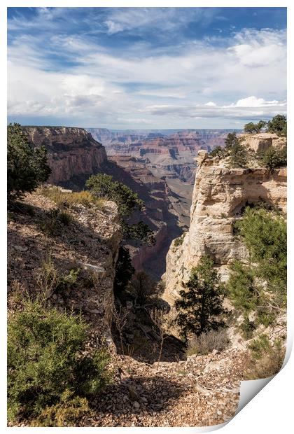 A Vertical View - Grand Canyon Print by Belinda Greb
