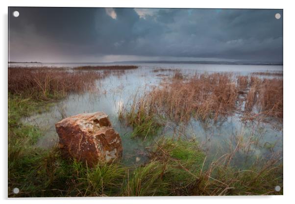 The Loughor estuary Acrylic by Leighton Collins