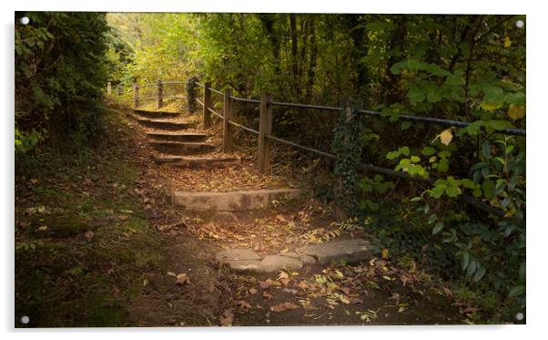 Autumn steps Acrylic by Leighton Collins