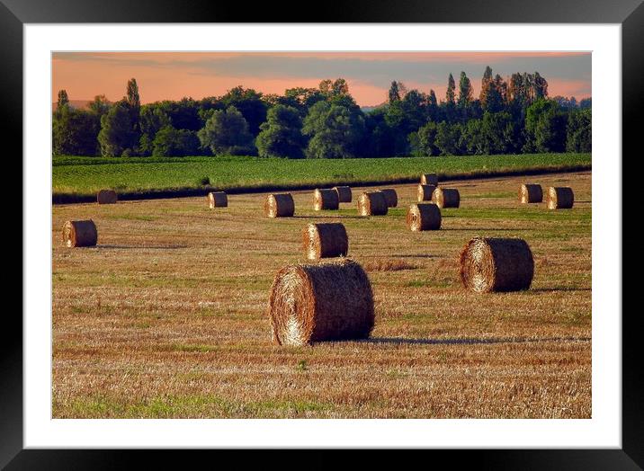 Evening rolls    Framed Mounted Print by Peter Balfour