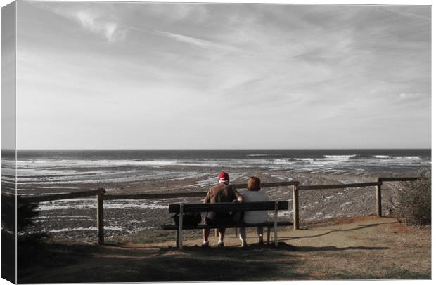 Bench View Canvas Print by Terry Anderson