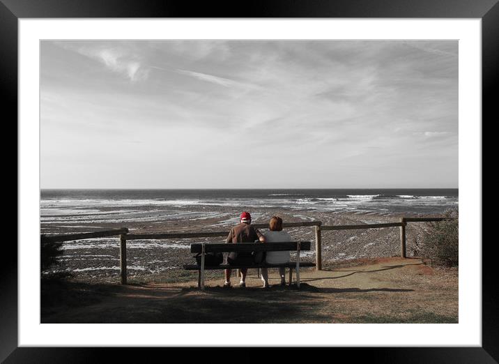 Bench View Framed Mounted Print by Terry Anderson