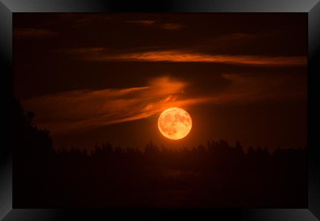 Blood red moon. Framed Print by Sergey Fedoskin