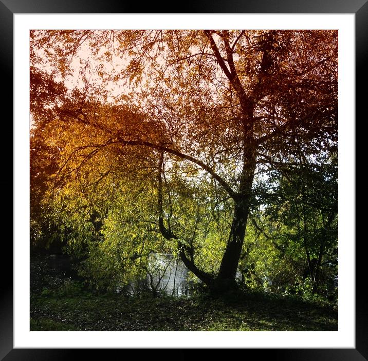 Time for a change of colour Framed Mounted Print by Jon Fixter