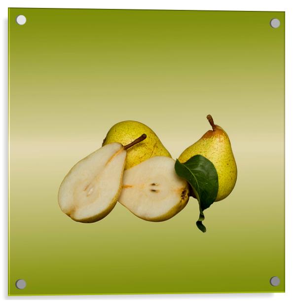 Fresh Pears Fruit Acrylic by David French