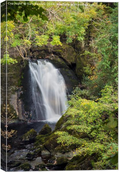 Flowing Ingleton Waterfall Canvas Print by Gary Kenyon