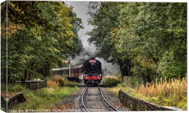 Flying Scotsman through Stubbins Canvas Print by David Oxtaby  ARPS