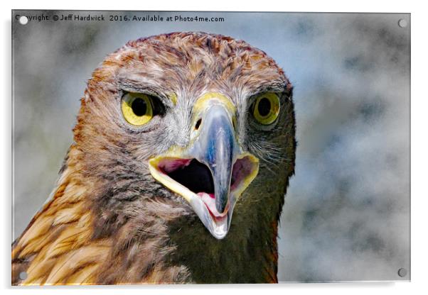 Portrait of a Golden Eagle Acrylic by Jeff Hardwick