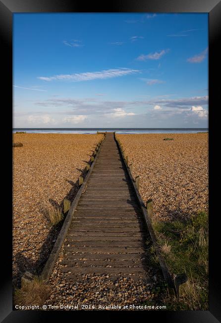 Path to the Sea Framed Print by Tom Dolezal