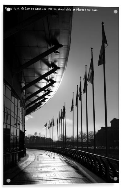 Cardiff Millennium Walk and Stadium Acrylic by James Brunker