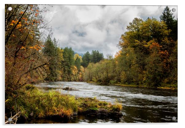 Fall on the McKenzie River Acrylic by Belinda Greb