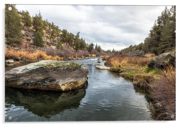 Deschutes River at Eagle Crest Acrylic by Belinda Greb