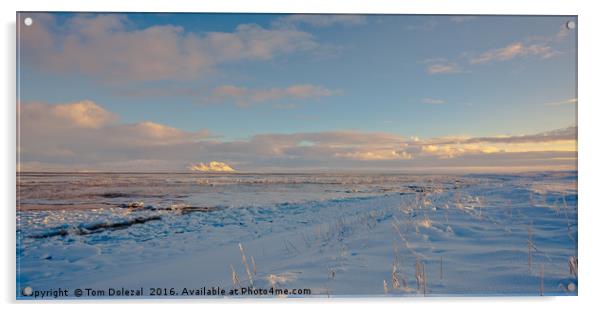 Icelandic winter scene Acrylic by Tom Dolezal