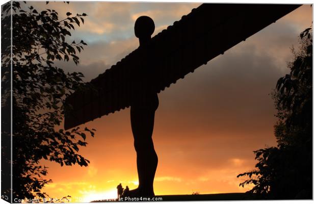 Angel of the North Sunset, Newcastle-Gateshead Canvas Print by Rob Cole