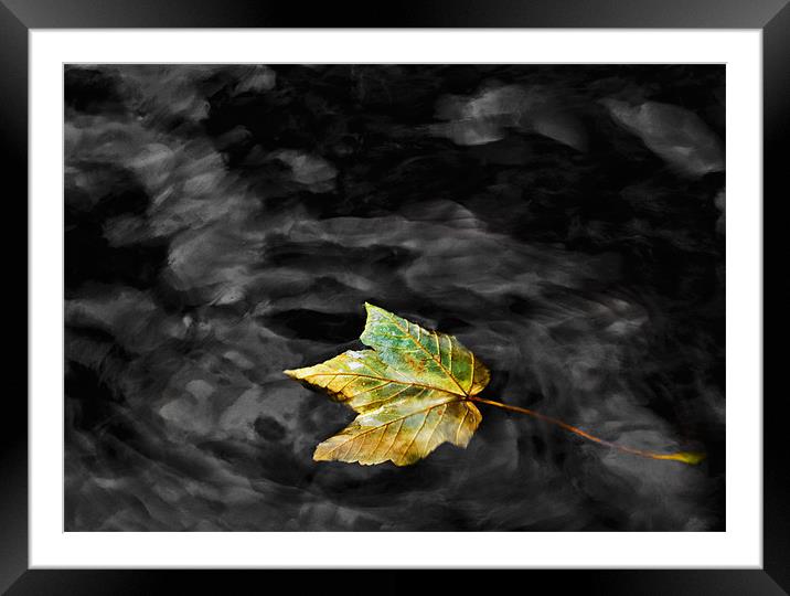 Autumn Leaf Framed Mounted Print by Mike Gorton