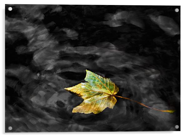 Autumn Leaf Acrylic by Mike Gorton