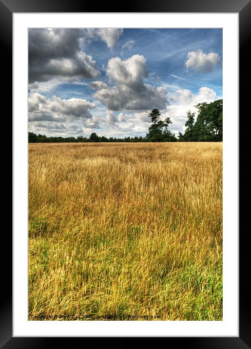 Field of Grass on West Wycombe Hill Framed Mounted Print by Chris Day