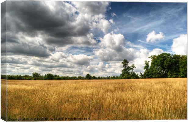 Field of Grass on West Wycombe Hill Canvas Print by Chris Day