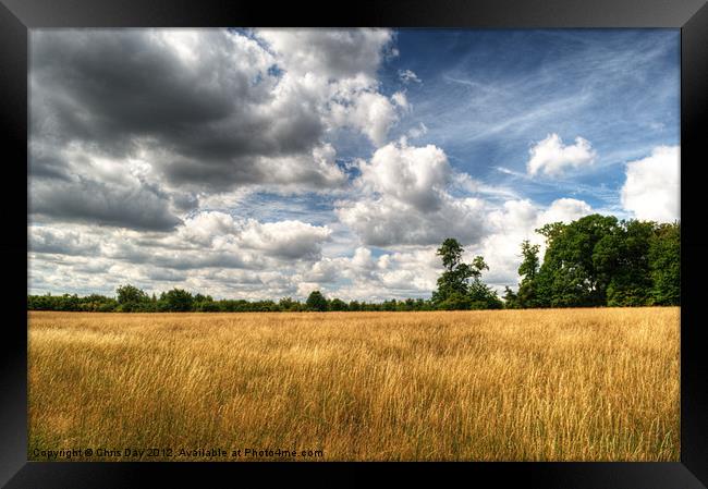 Field of Grass on West Wycombe Hill Framed Print by Chris Day