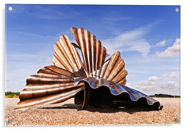 Aldeburgh Scallop Acrylic by Stephen Mole