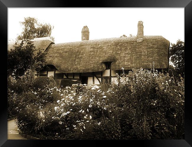 Cottage (Sepia) Framed Print by Ian Jeffrey