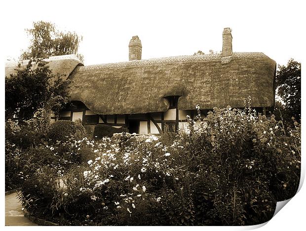 Cottage (Sepia) Print by Ian Jeffrey