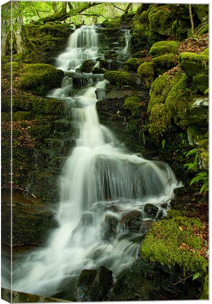 Highland Water Canvas Print by Mark Robson