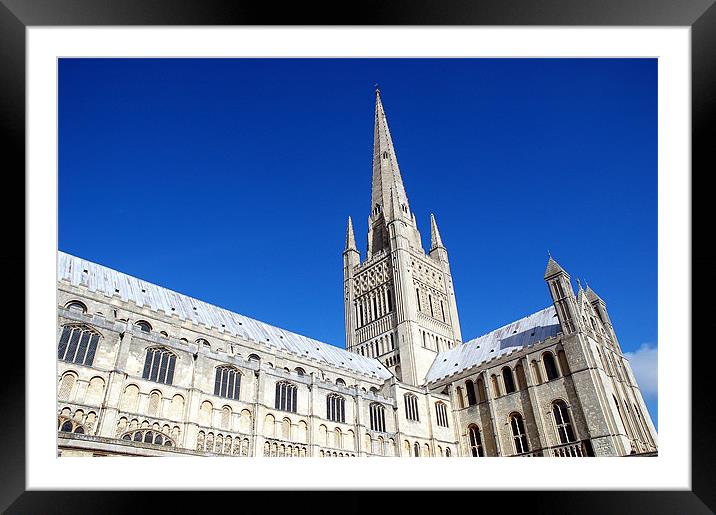 Norwich Cathedral Framed Mounted Print by stephen walton