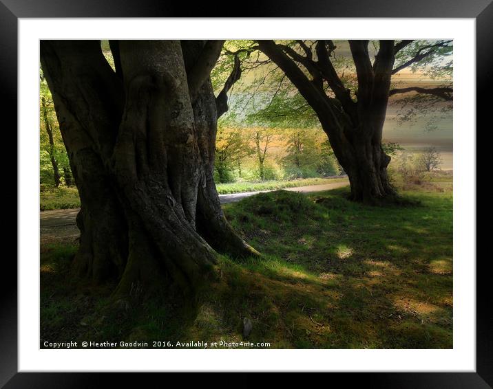 Stockhill Wood. Framed Mounted Print by Heather Goodwin