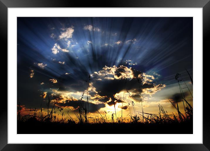 Sunset in a field. Framed Mounted Print by Sergey Fedoskin