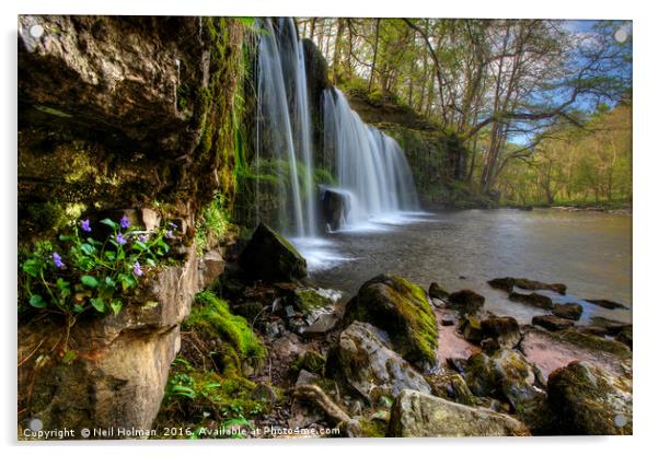 Sgwd Ddwli Isaf Waterfall at Pontneddfechan  Acrylic by Neil Holman
