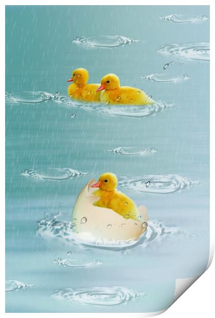 little ducklings Print by Dagmar Giers