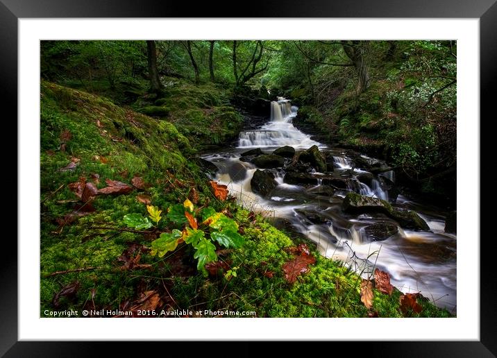Autumn at Melincourt Brook Framed Mounted Print by Neil Holman