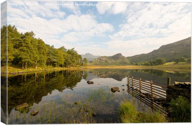 Blea Tarn, Lake District Canvas Print by The Tog
