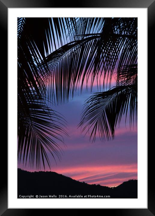 Silhouette of palm leaves Framed Mounted Print by Jason Wells