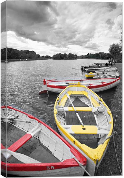 Rowing Boats at Thorpe Ness Canvas Print by Stephen Mole