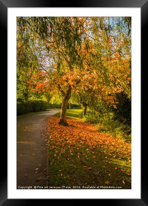 Autumnal colours  Framed Mounted Print by Jack Jacovou Travellingjour