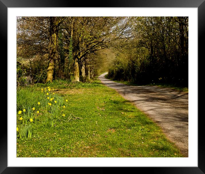 Herefordshire lane in spring Framed Mounted Print by David Bigwood