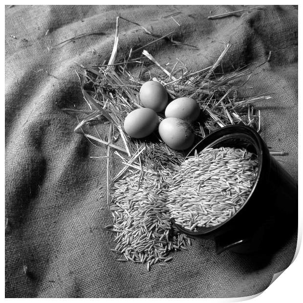 New laid eggs, straw and oats on hessian sacking Print by David Bigwood