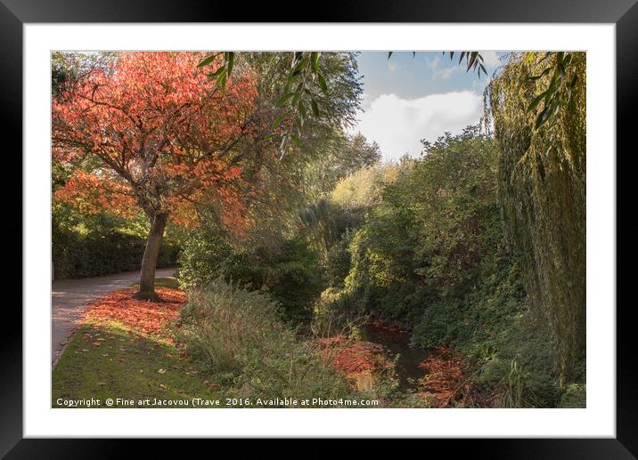 Welham autumn colours  Framed Mounted Print by Jack Jacovou Travellingjour